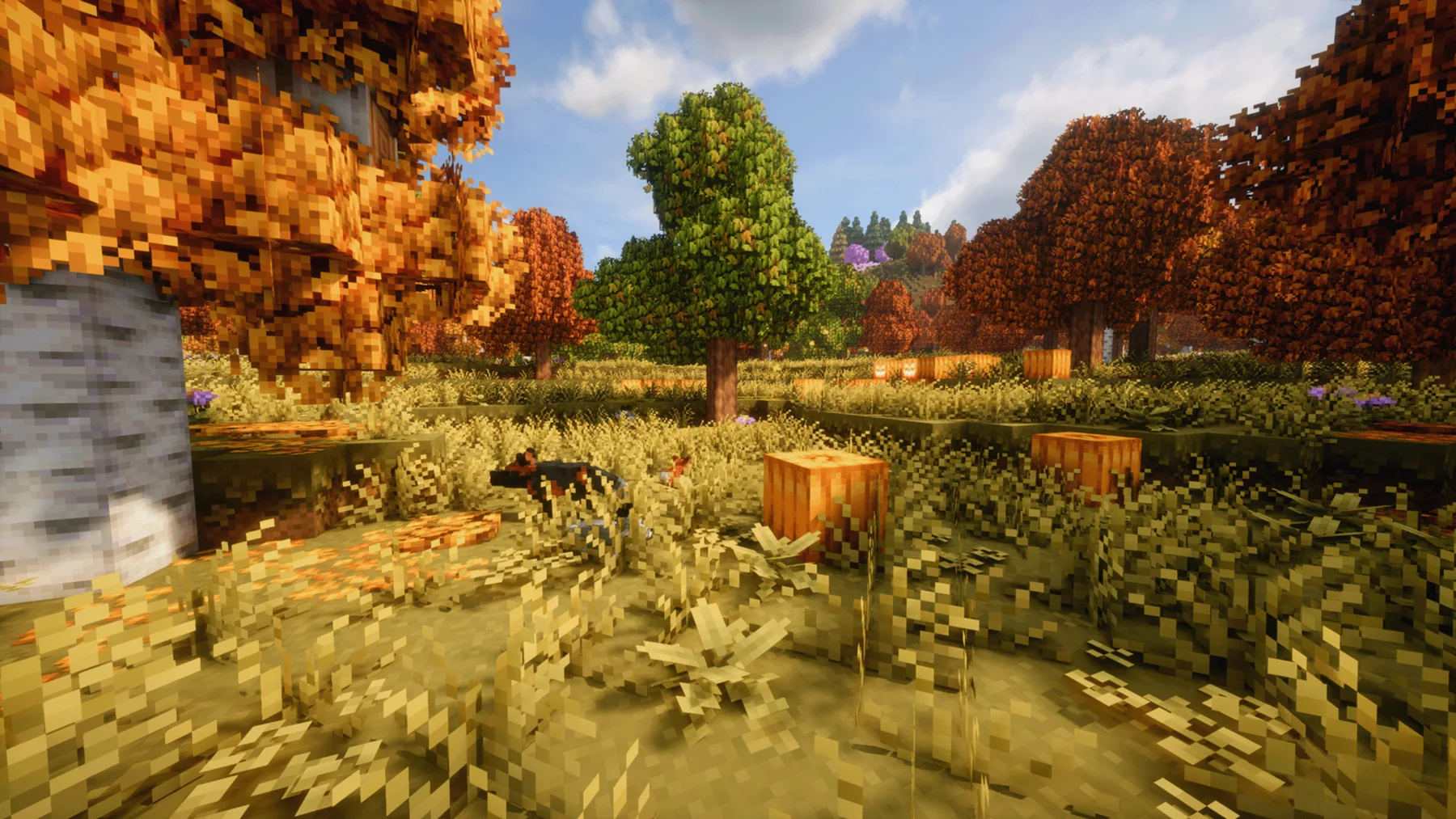 Autumn Minecraft landscape