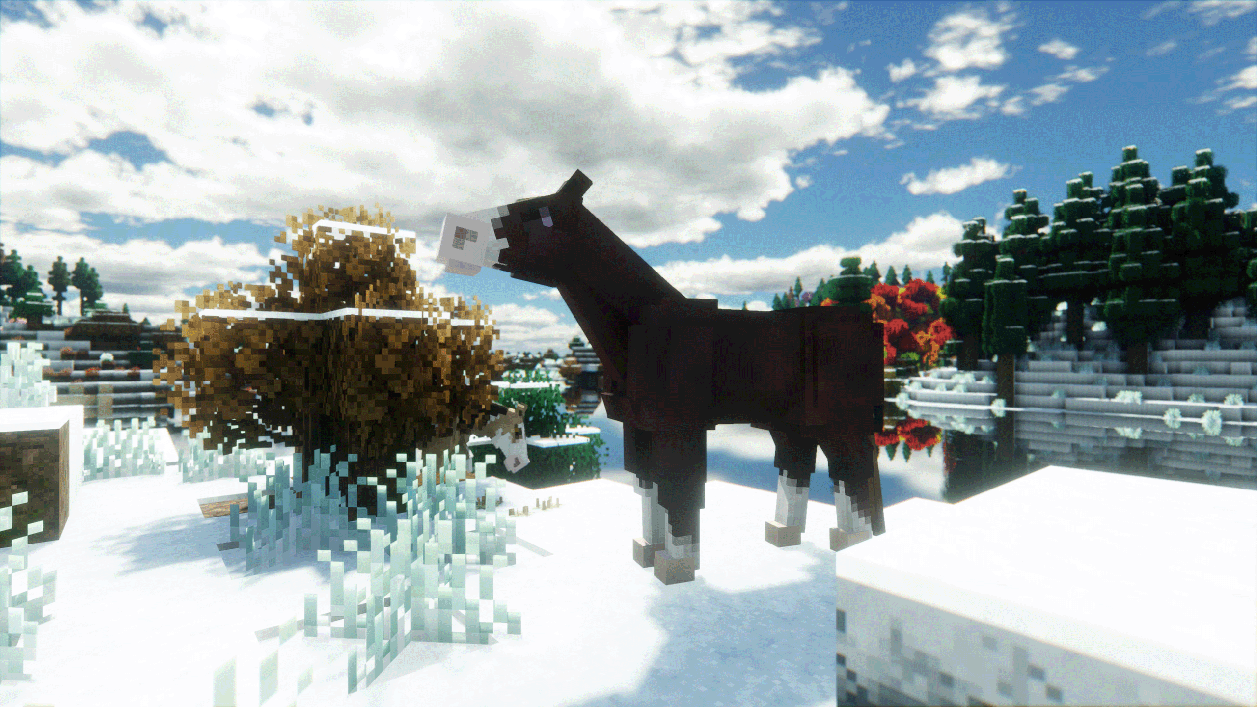 Cozy Zen Minecraft world screenshot